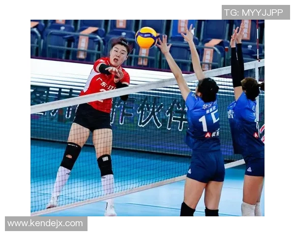 排球节奏排行榜：深圳排球队位居第7名